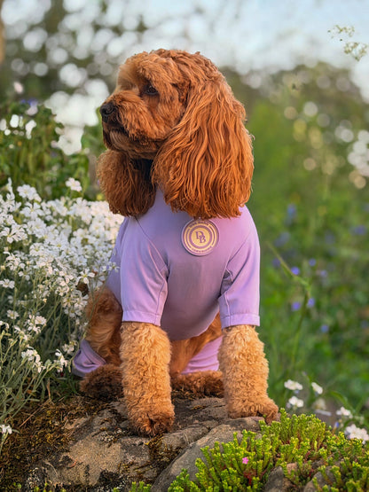Lavender Meadow Summer Suit