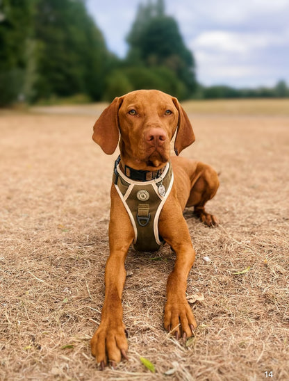 Forest Glade Adventurer Harness
