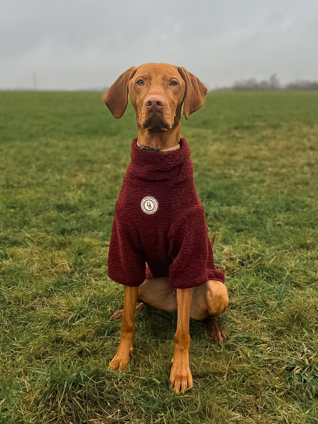 Berry Moors Sherpa Jacket
