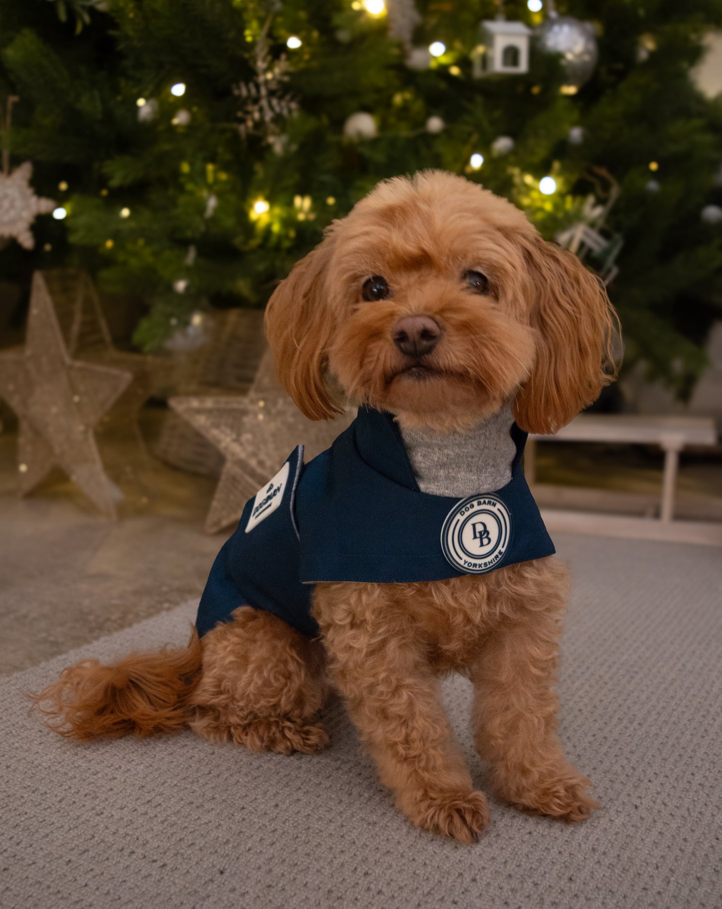 Starlit Meadow Winter Rain Jacket (Fleece Lined)