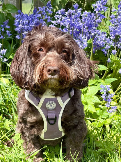 Lavender Meadow Adventurer Harness (Corded Material)