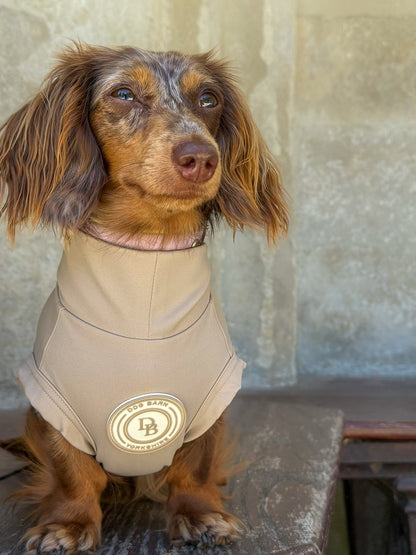 Dachshund Truffle Dusk Summer T-Shirt