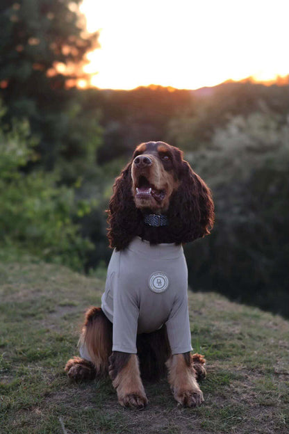 Truffle Dusk Summer Suit