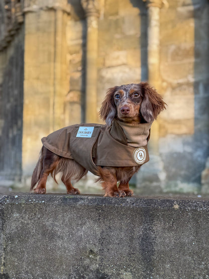 Dachshund Chestnut Trail Winter Rain Jacket (Fleece Lined)