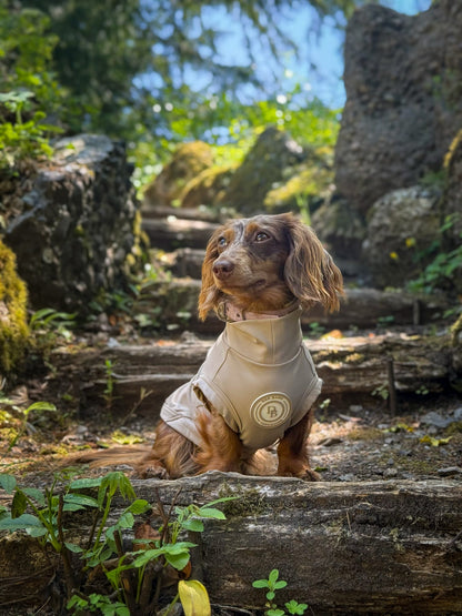 Dachshund Truffle Dusk Summer T-Shirt