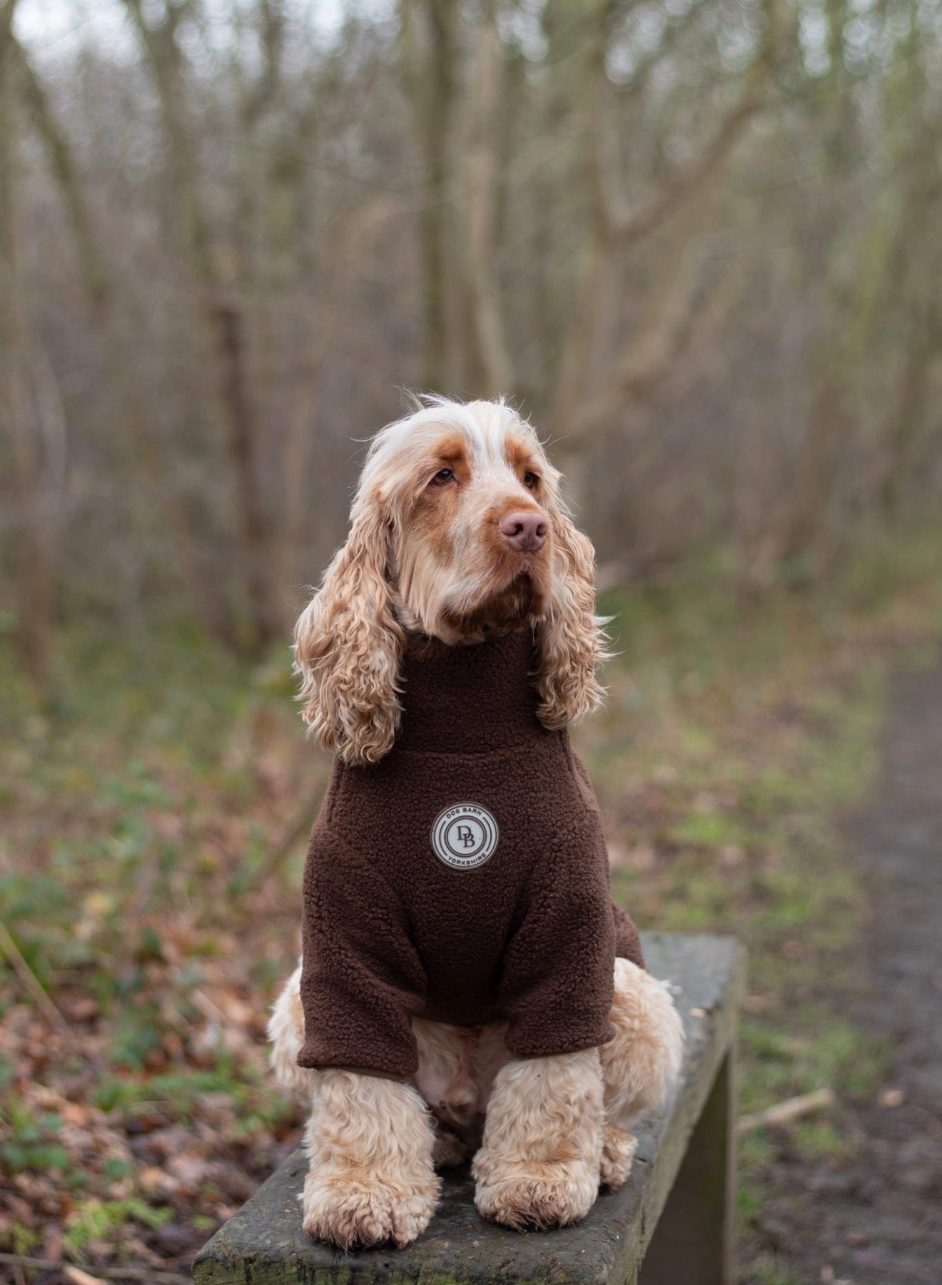 Chestnut Trail Sherpa Jacket