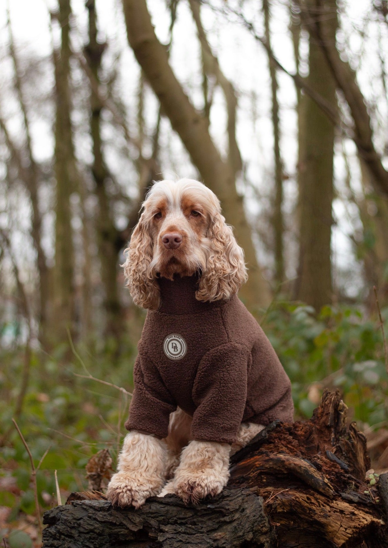 Chestnut Trail Sherpa Jacket