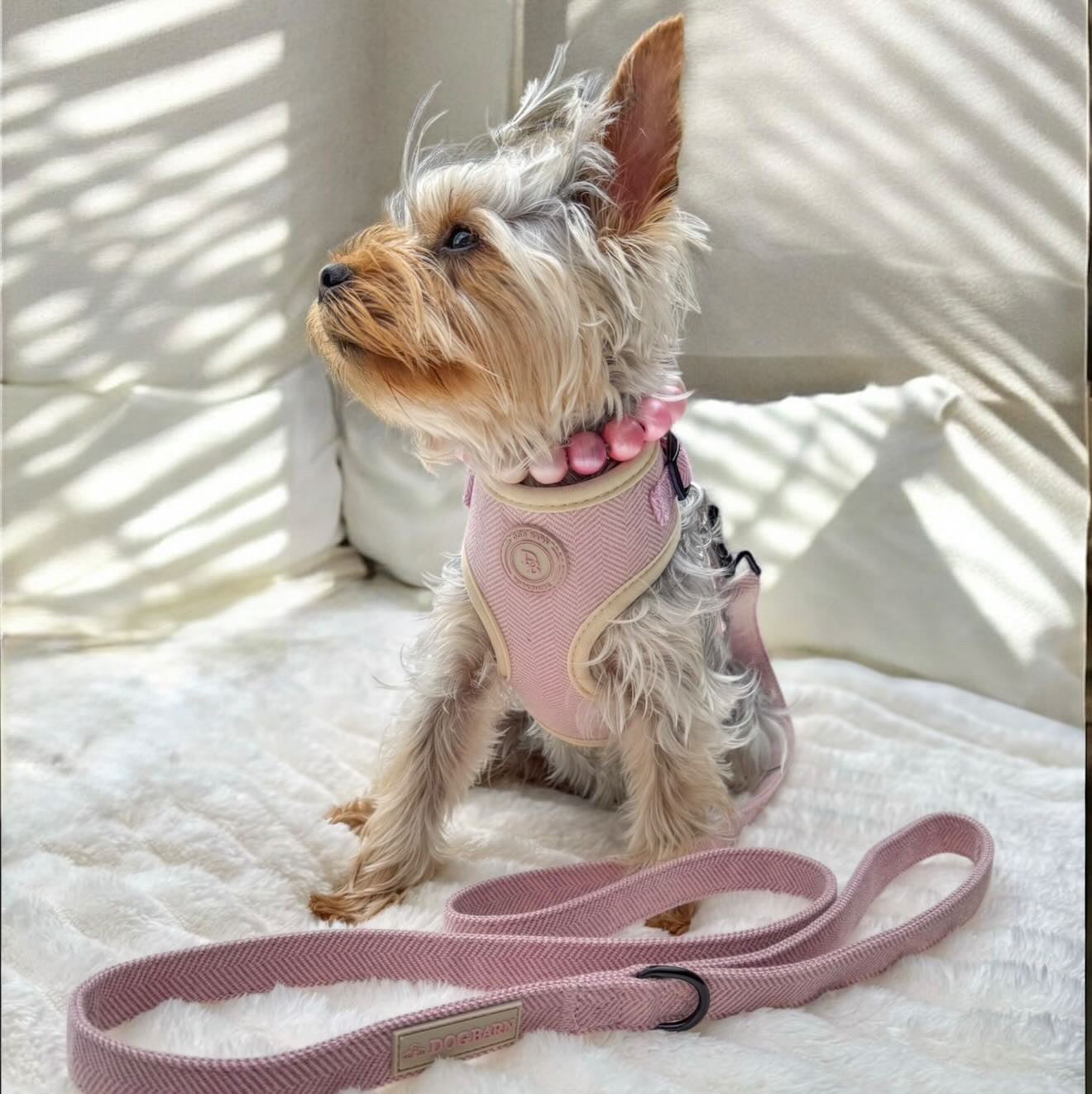 Blush Petal Tweed Harness