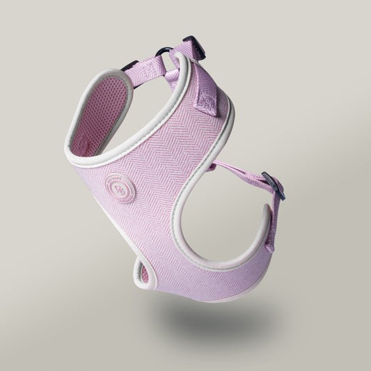 Blush Petal Tweed Harness