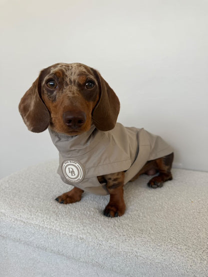 Dachshund Truffle Dusk Rain Jacket