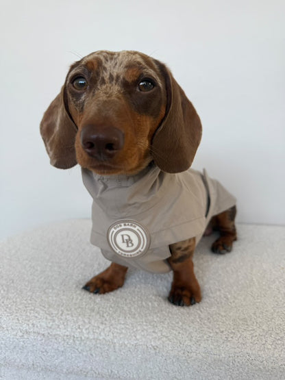 Dachshund Truffle Dusk Rain Jacket