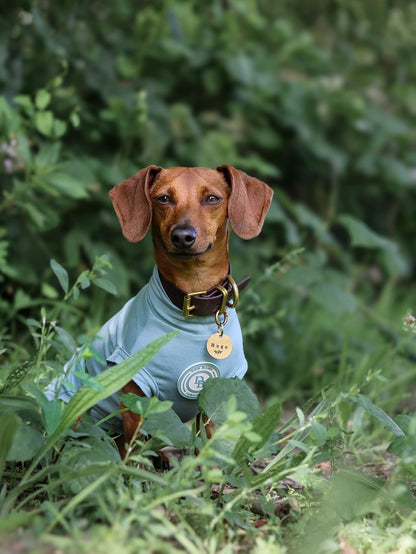 Dachshund Duck Egg Vale Summer T Shirt
