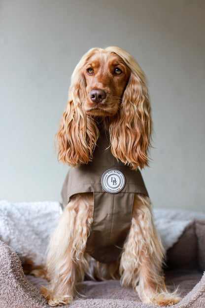 Chestnut Trail Rain Jacket