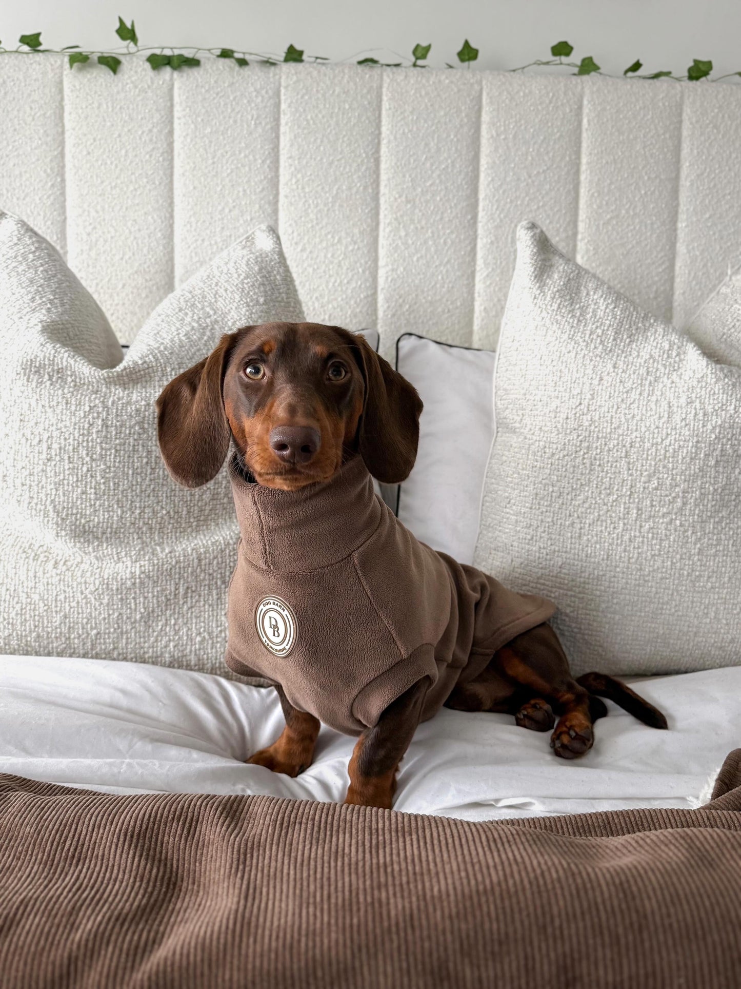 Chestnut Trail Dachshund Fleece