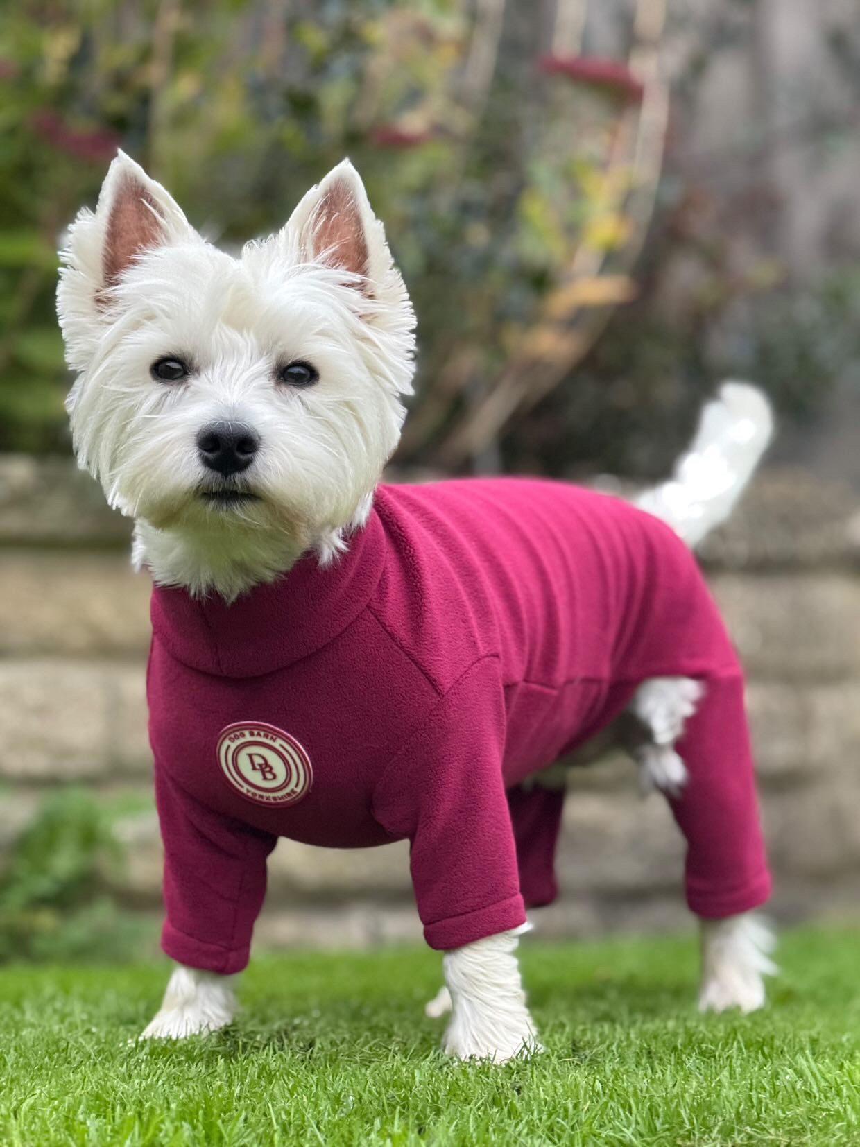 Berry Moors Fleece Suit