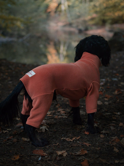 Autumn Spice Fleece Suit
