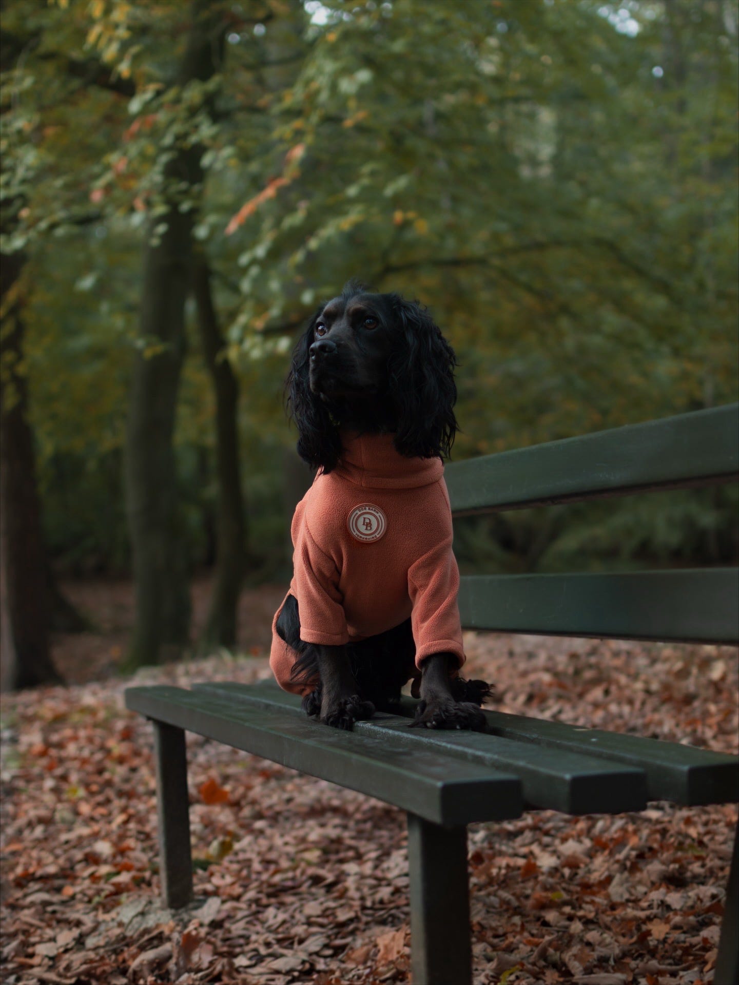 Autumn Spice Fleece Suit