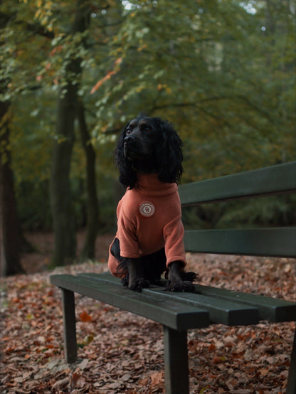 Autumn Spice Fleece Suit