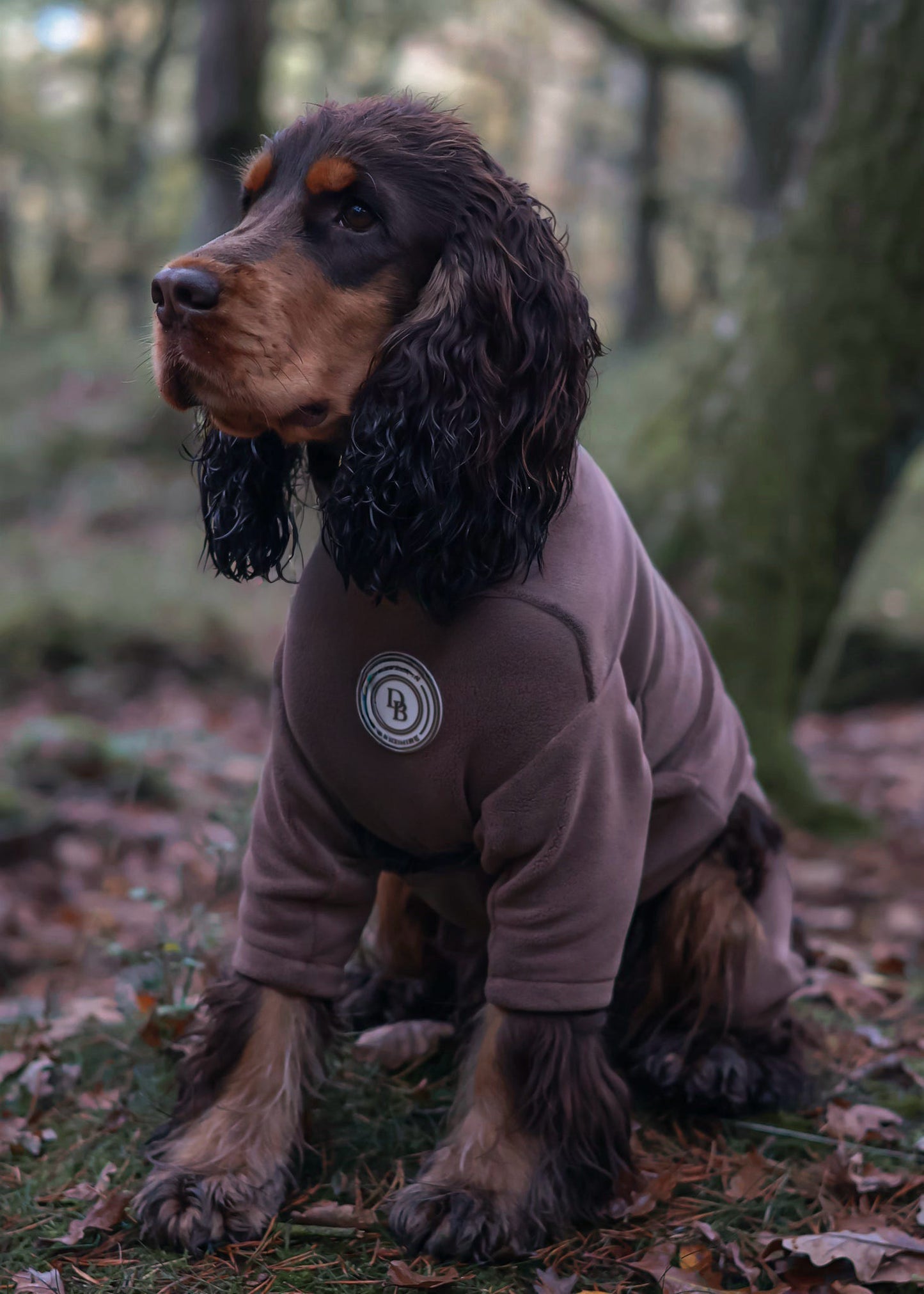 Chestnut Trail Fleece Suit