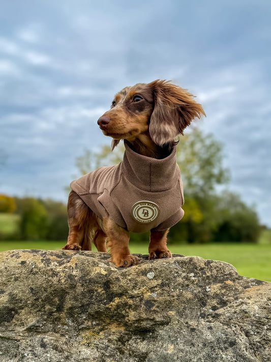Chestnut Trail Dachshund Fleece
