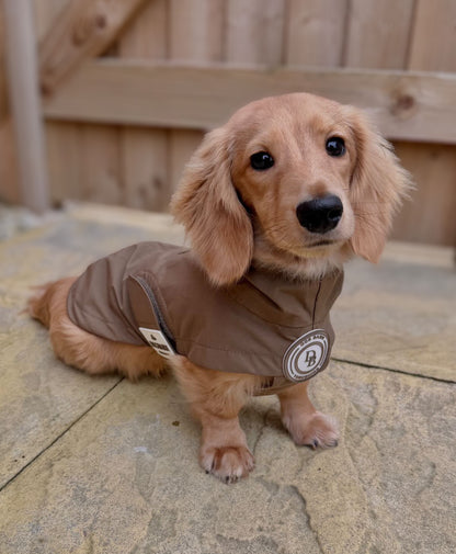Dachshund Chestnut Trail Rain Jacket