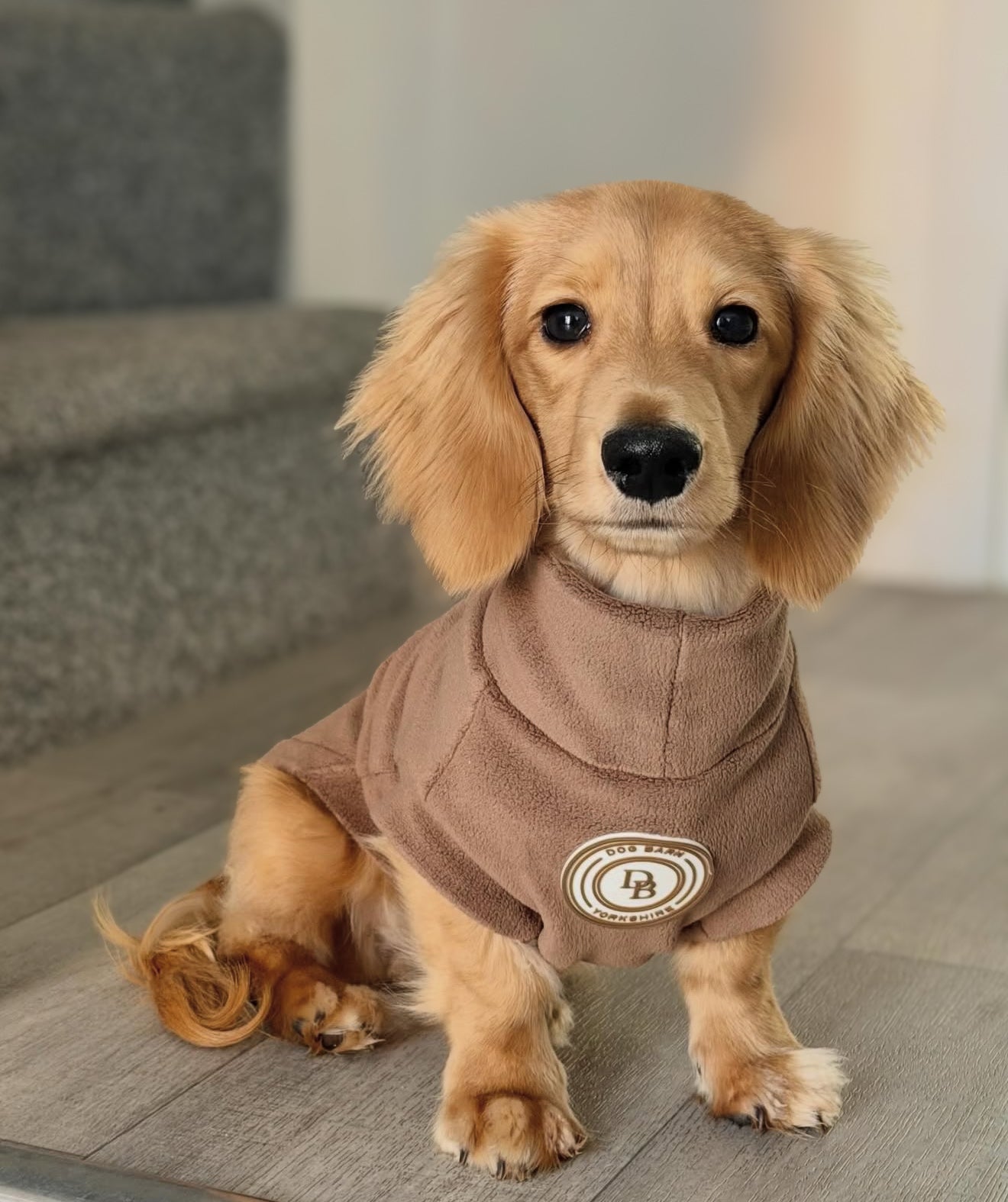 Chestnut Trail Dachshund Fleece