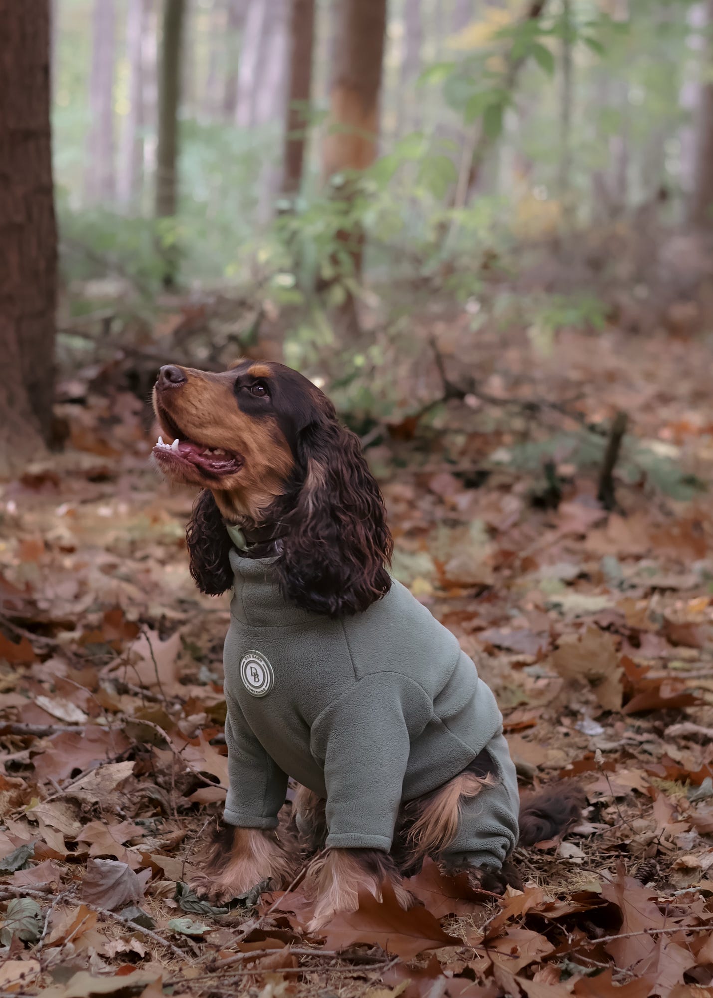 Forrest Glade Fleece Suit