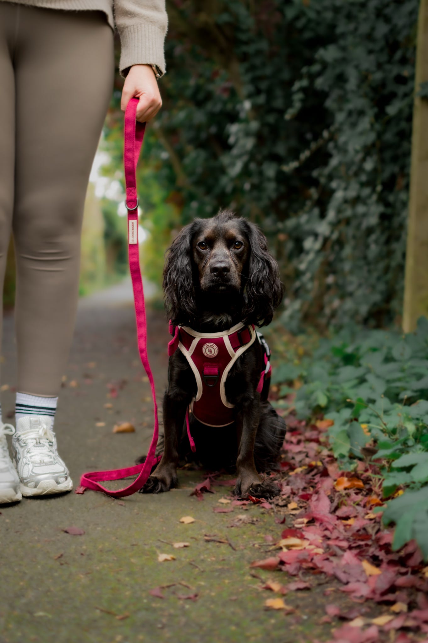 Berry Moors Adventurer Harness