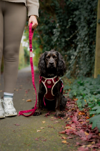 Berry Moors Adventurer Harness