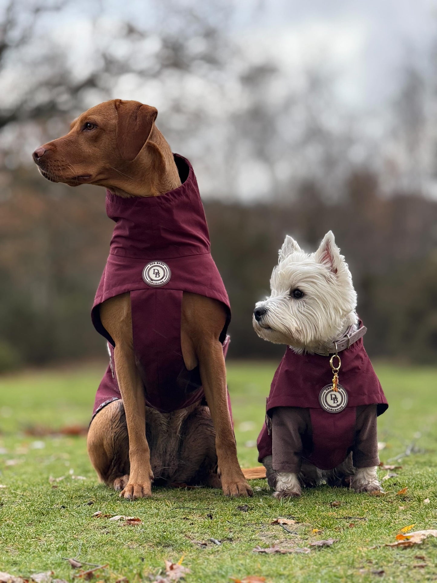 Berry Moors Rain Jacket