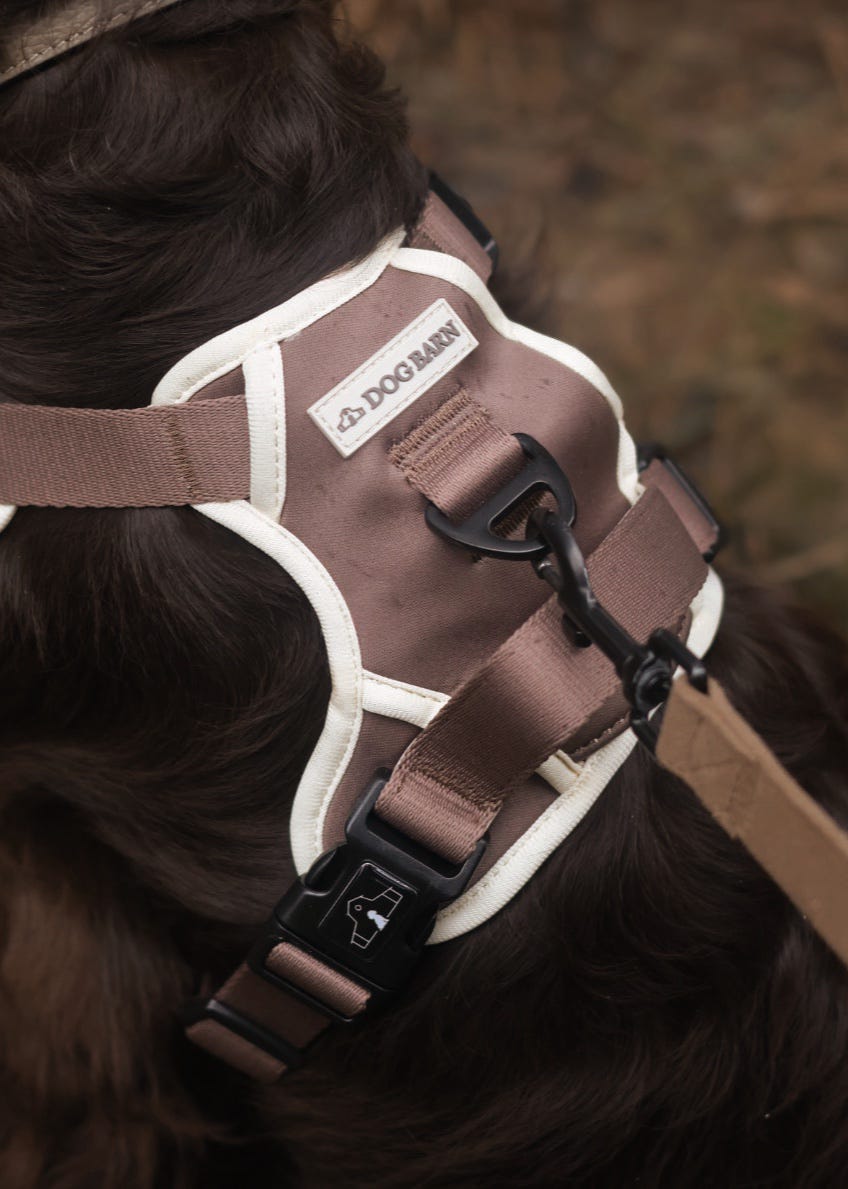 Chestnut Trail Adventurer Harness