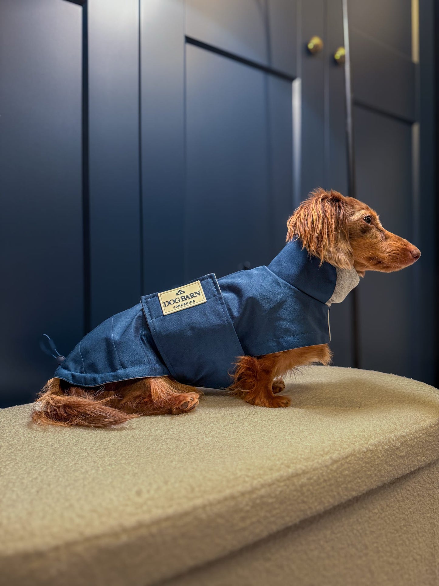Dachshund Starlit Meadow Winter Rain Jacket (Fleece Lined)