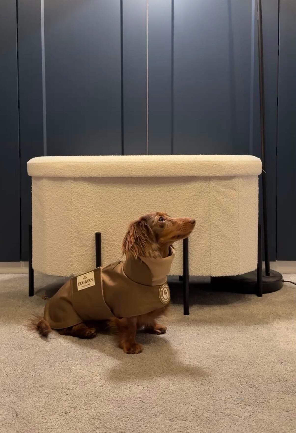 Dachshund Chestnut Trail Winter Rain Jacket (Fleece Lined)