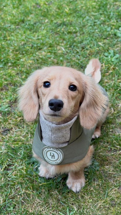 Dachshund Forest Glade Winter Rain Jacket (Fleece Lined)