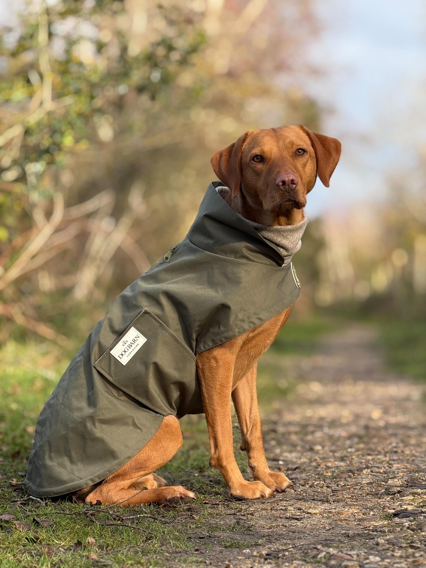 Forest Glade Winter Rain Jacket (Fleece Lined)