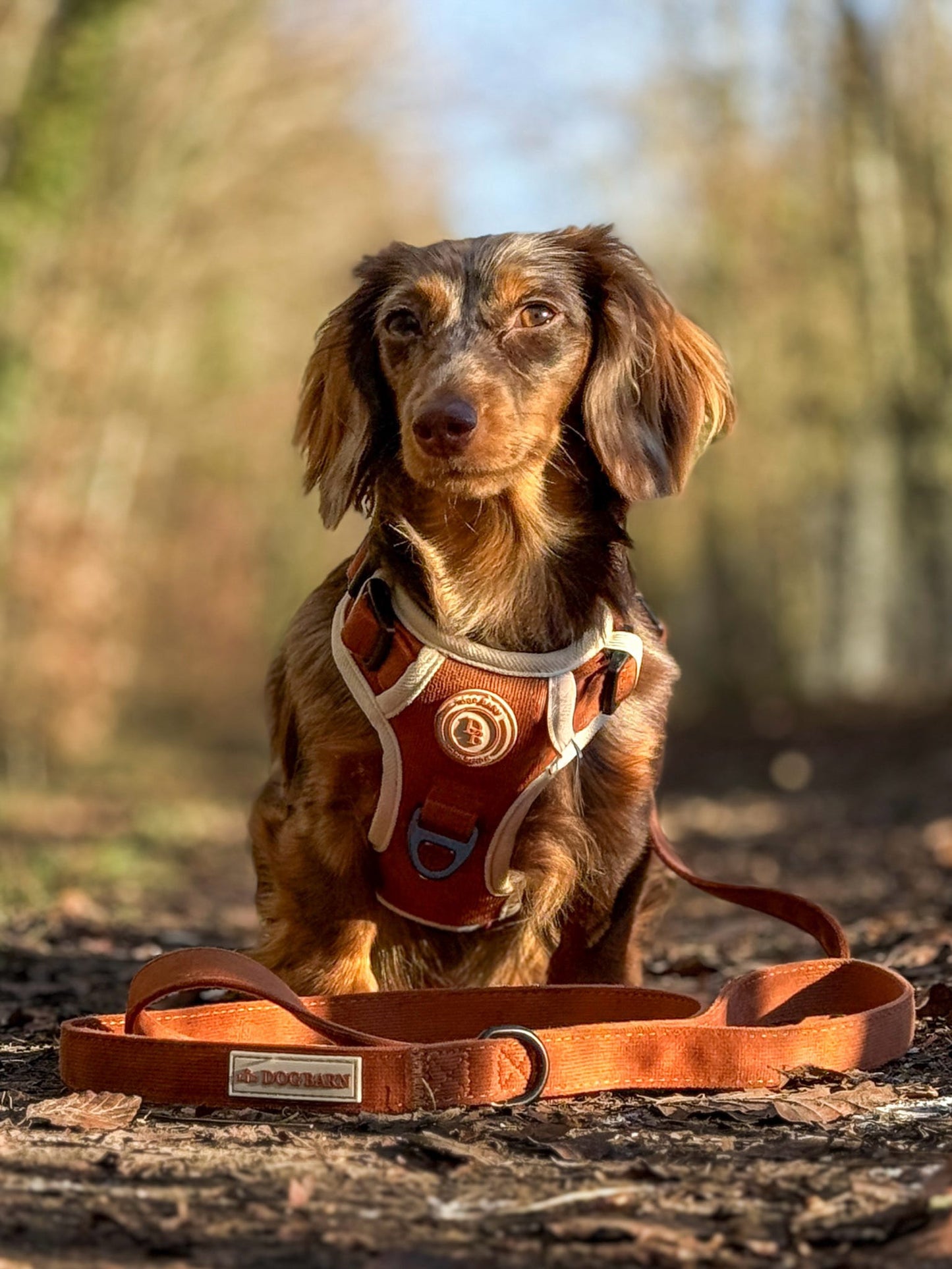 Autumn Spice Adventurer Lead