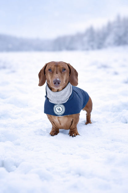 Dachshund Starlit Meadow Winter Rain Jacket (Fleece Lined)