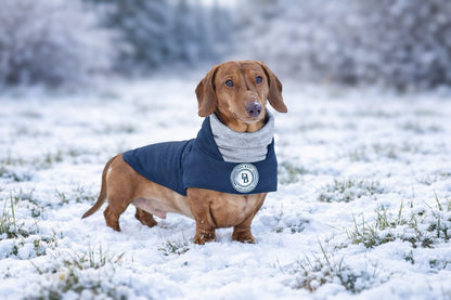 Dachshund Starlit Meadow Winter Rain Jacket (Fleece Lined)