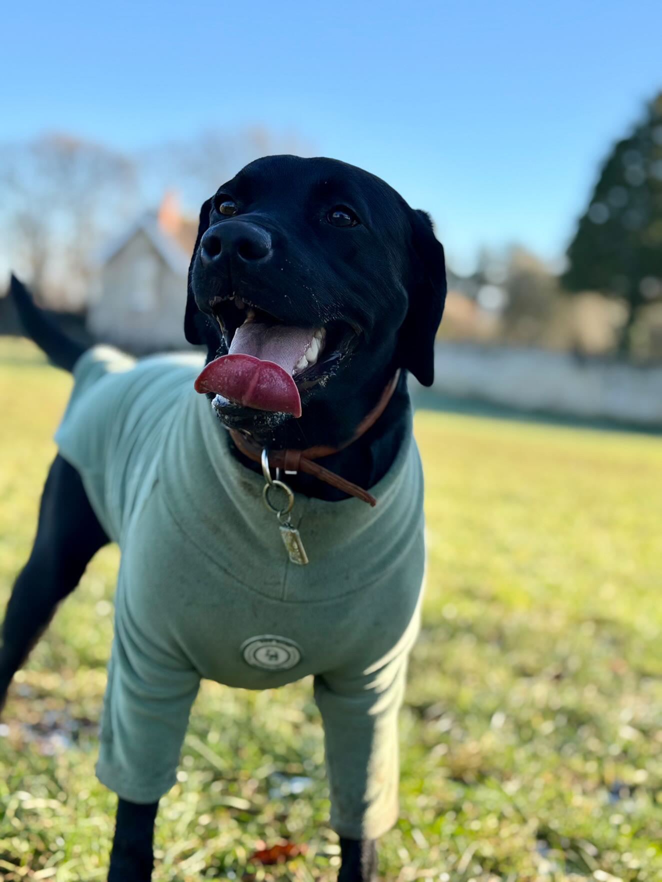 Forest Glade 2-Legged Fleece Jumper