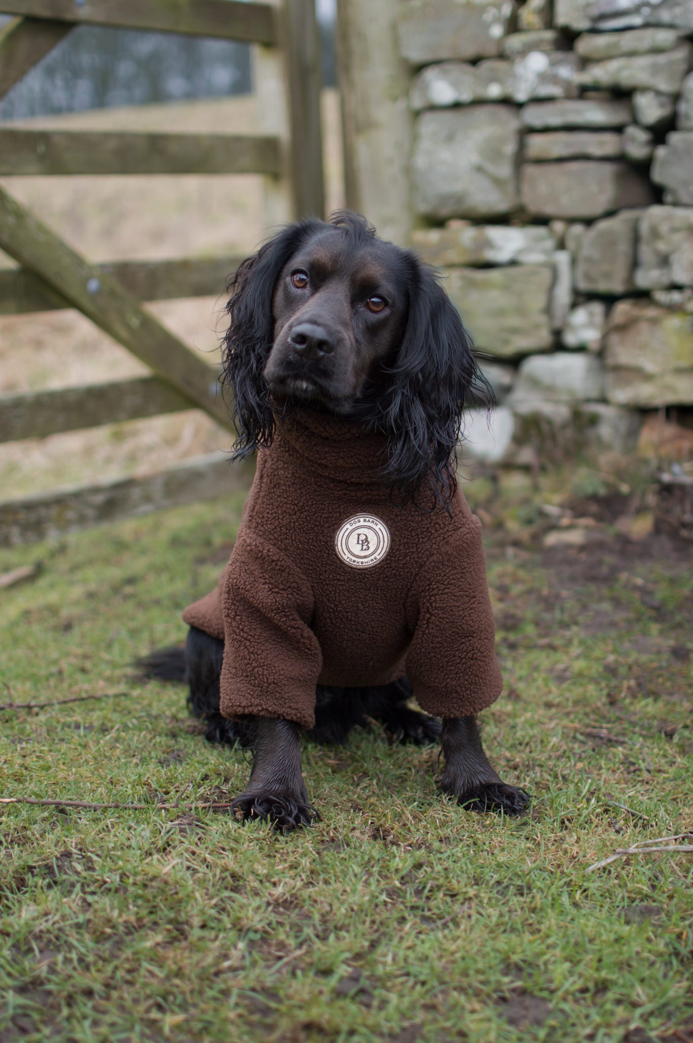 Chestnut Trail Sherpa Jacket