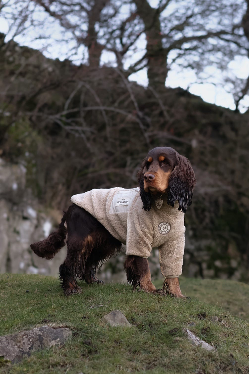 Ivory Dune Sherpa Jacket