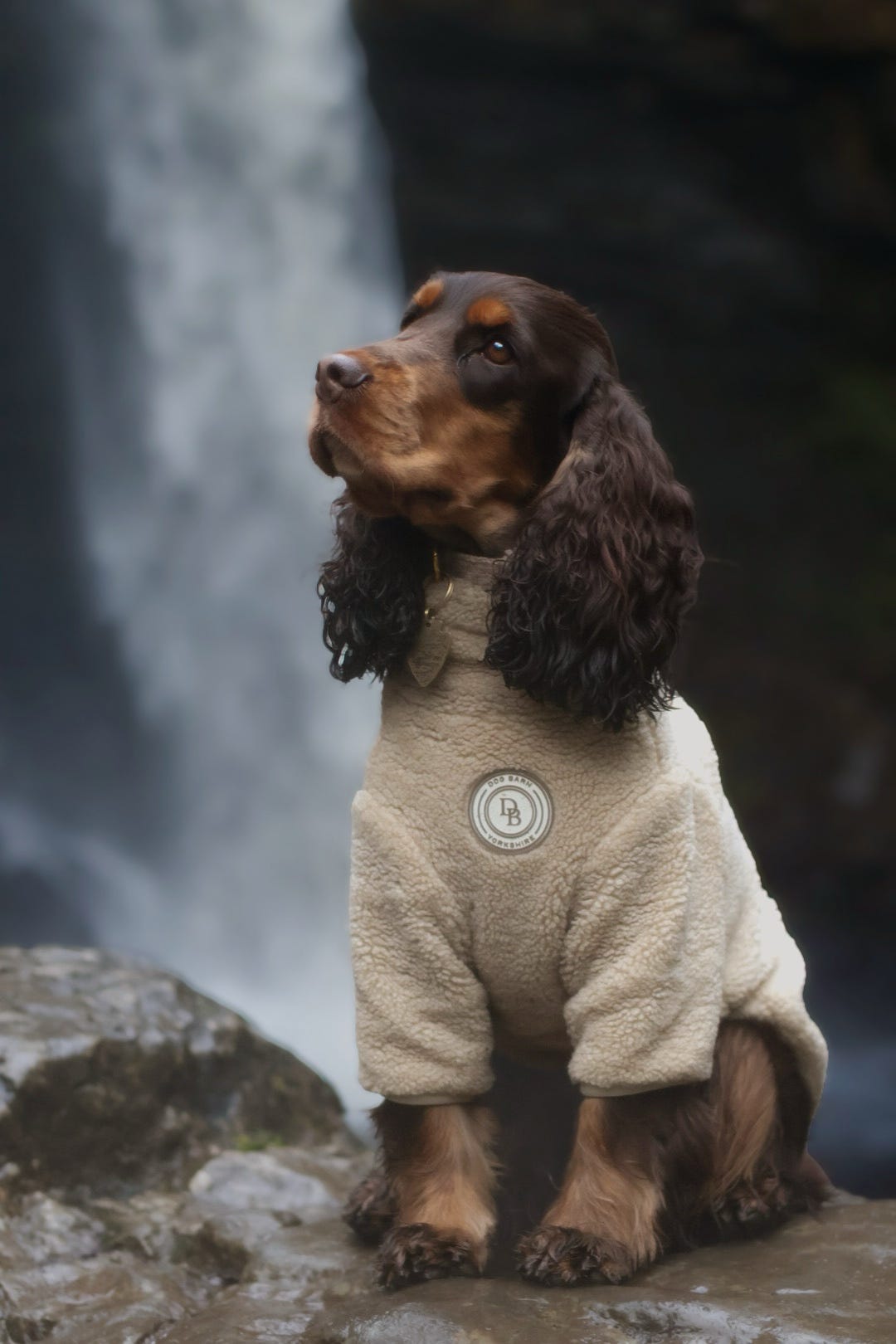 Ivory Dune Sherpa Jacket