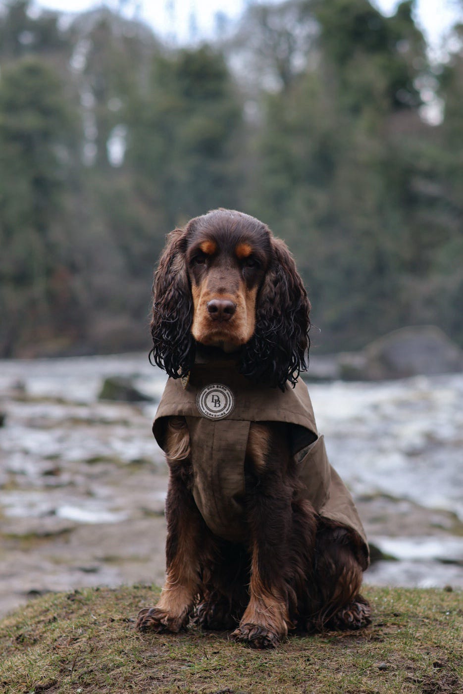 Chestnut Trail Rain Jacket