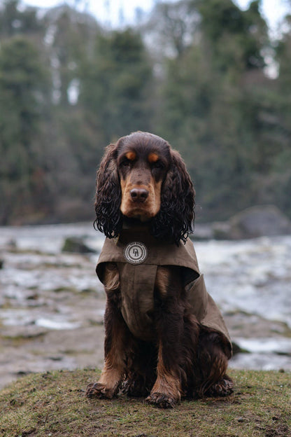 Chestnut Trail Rain Jacket