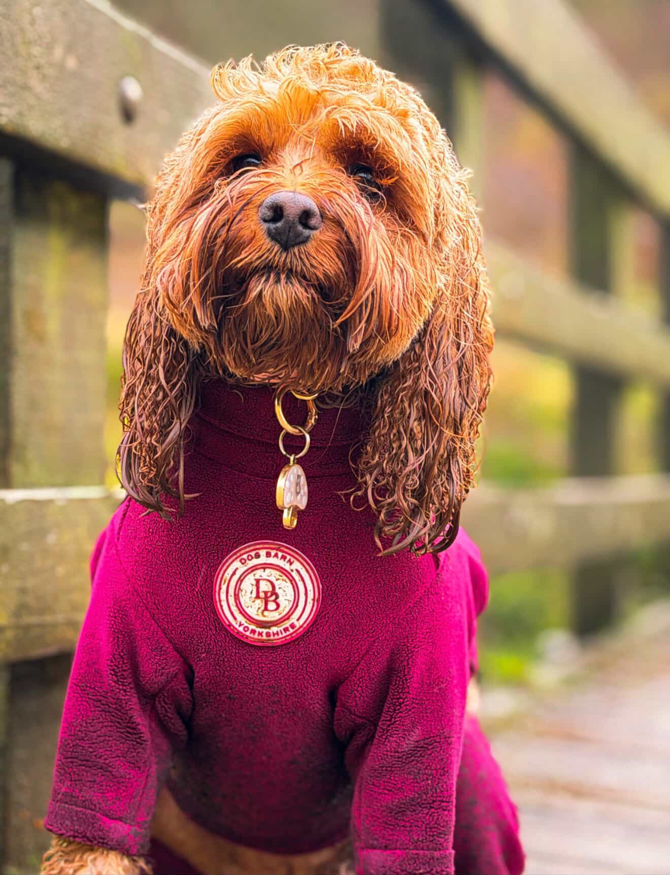Berry Moors Fleece Suit