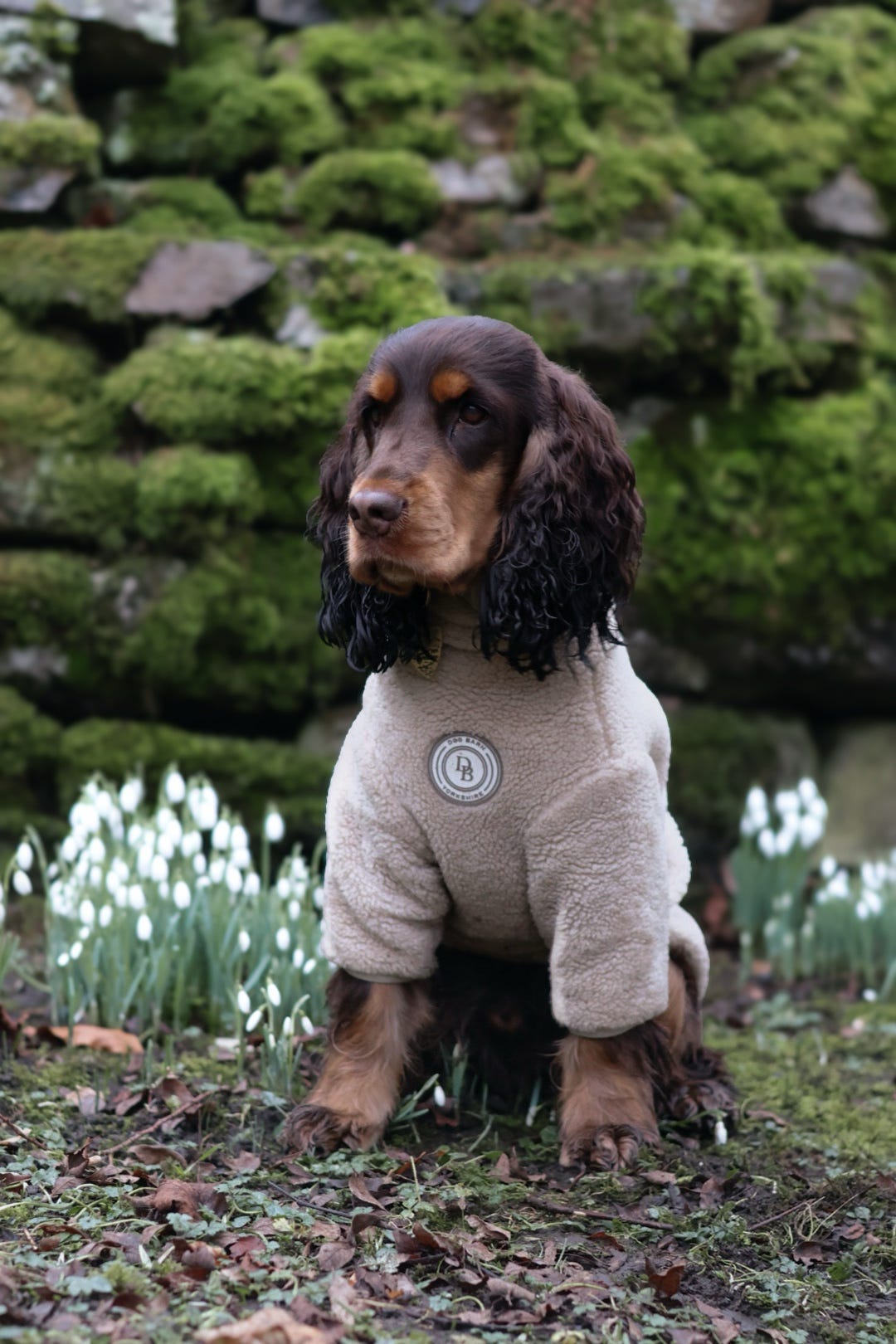 Ivory Dune Sherpa Jacket