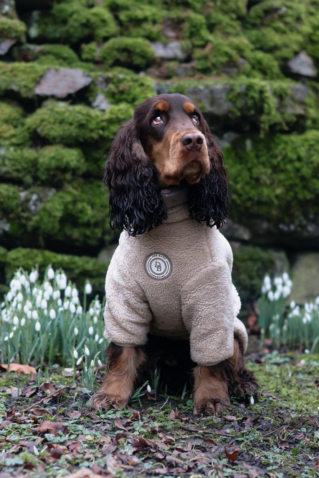 Ivory Dune Sherpa Jacket