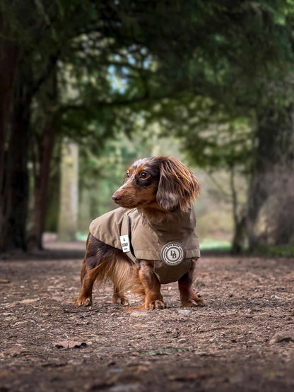 Dachshund Chestnut Trail Rain Jacket