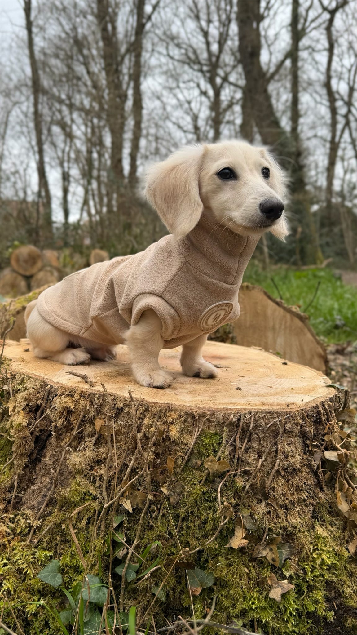 Barley Vale Dachshund Fleece