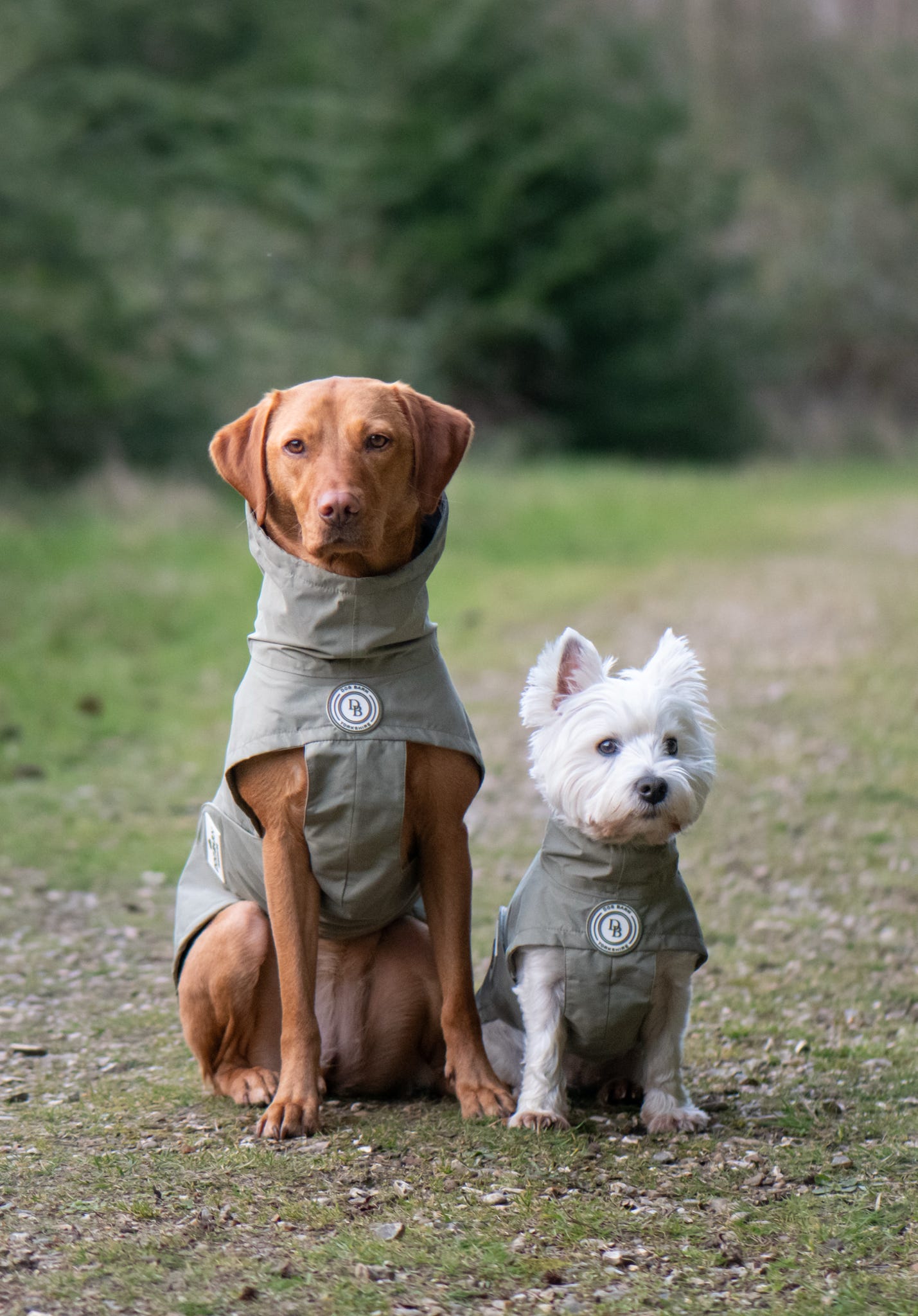 Forest Glade Rain Jacket
